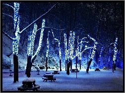 Światełka, Park, Zima, Noc